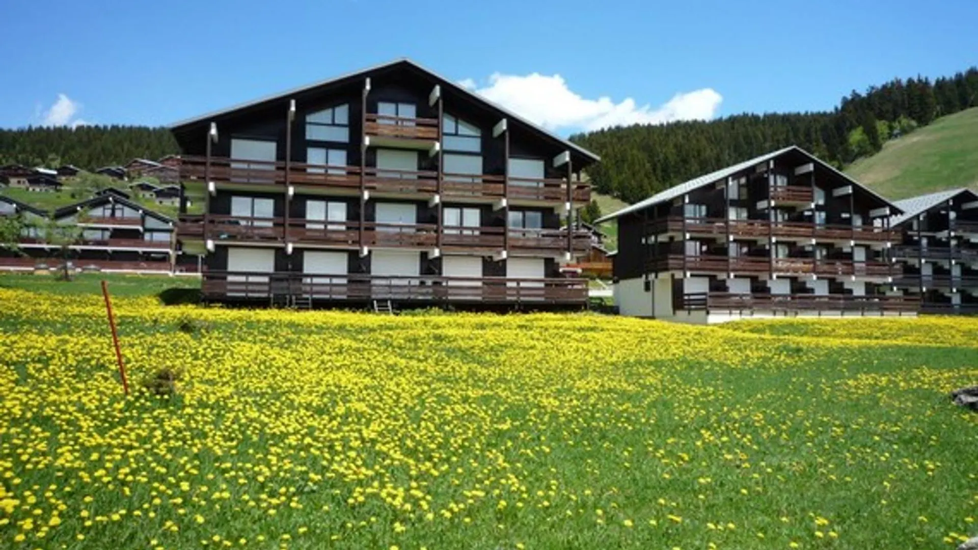 Appartement Les Saisies - Studio Cabine Avec Garage Pour 4-5 Personnes, Ensoleille, Vue Sur Pistes, Non Fumeur - Fr-1-293-152